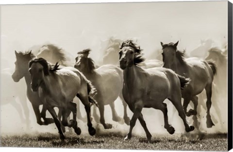 Framed Horse Print