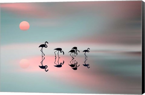 Framed Family Flamingos Print