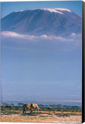 Framed Kilimanjaro And The Quiet Sentinels Print