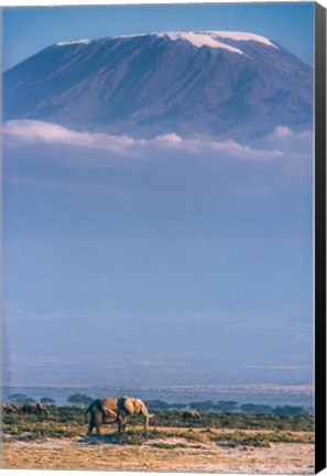 Framed Kilimanjaro And The Quiet Sentinels Print