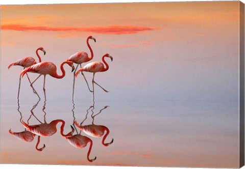 Framed Flamingos Family Print