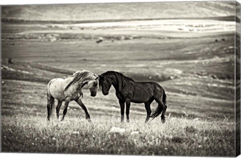 Framed Close Encounter Print