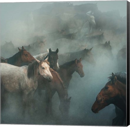 Framed Lost Horses Print