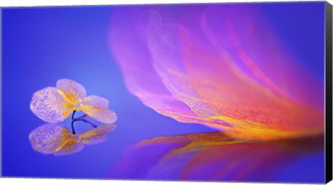 Framed Dream Print