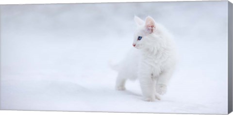 Framed White As Snow Print