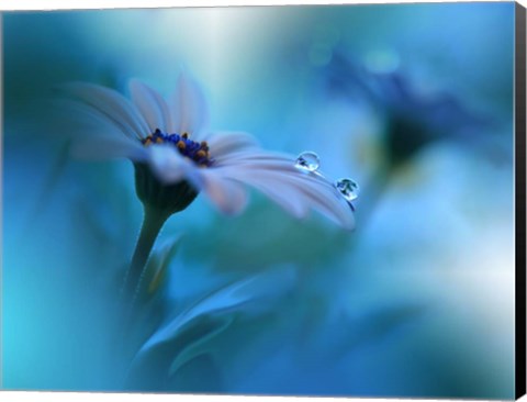Framed Beyond The Visible Print