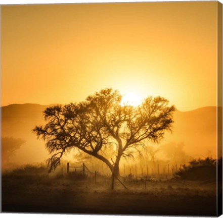 Framed Golden Sunrise Print