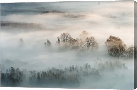 Framed Winter Fog Print