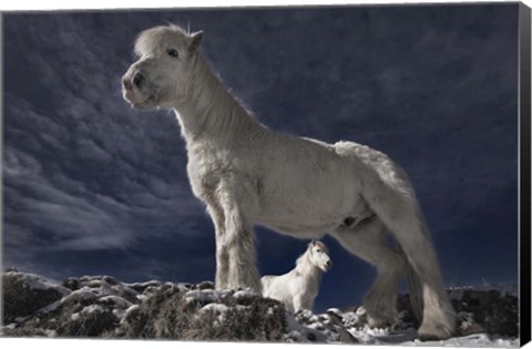 Framed Partners II Print