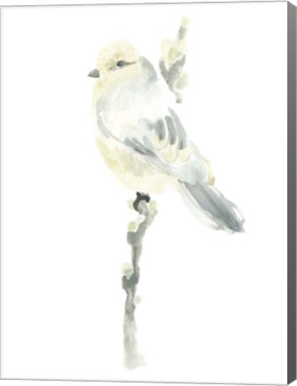 Framed Avian Impressions I Print