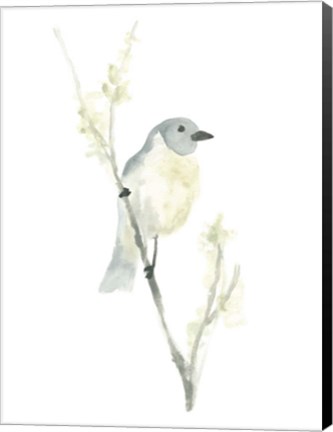 Framed Avian Impressions III Print