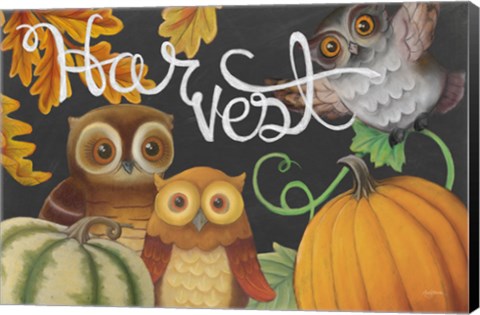 Framed Harvest Owl IV Print