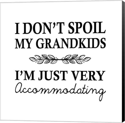 Framed I Don&#39;t Spoil My Grandkids Leaf Design White Print