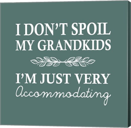 Framed I Don&#39;t Spoil My Grandkids Leaf Design Teal Print