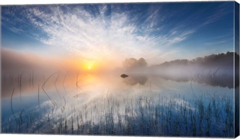 Framed Reflection Print