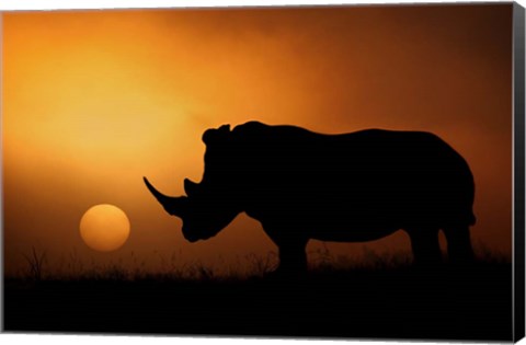 Framed Rhino Sunrise Print