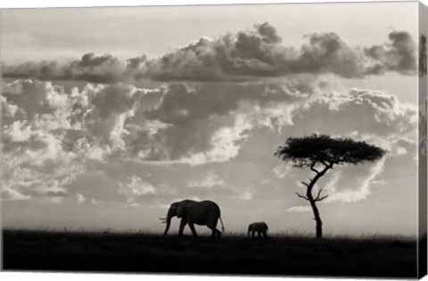 Framed Silhouettes Of Mara Print