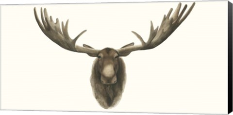 Framed Moose Bust Print