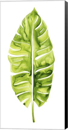 Framed Banana Leaf Study I Print