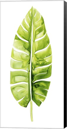 Framed Banana Leaf Study II Print