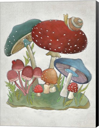 Framed Mushroom Collection I Print