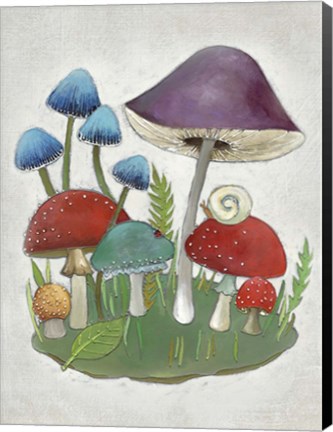 Framed Mushroom Collection II Print