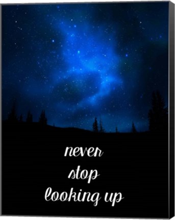 Framed Never Stop Looking Up Print