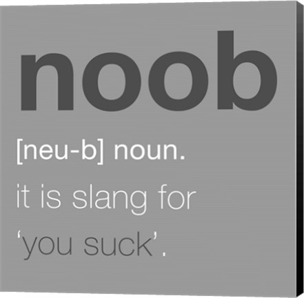 Framed Noob - Gray Print