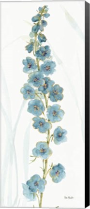 Framed Rainbow Seeds Flowers VI Print