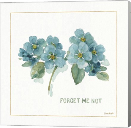 Framed My Greenhouse Forget Me Not Print