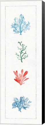 Framed Water Coral VIII Print