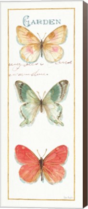 Framed Rainbow Seeds Butterflies II Print