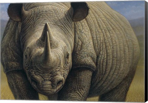 Framed Rhinos Print