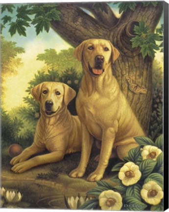 Framed Yellow Labs Print