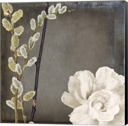 Framed India I Print