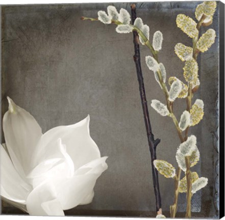 Framed India II Print