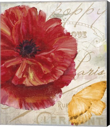 Framed Red Poppy Print