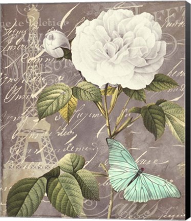 Framed White Rose Print