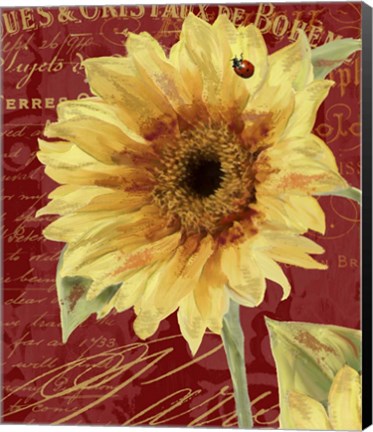 Framed Ete Lady Bug Print