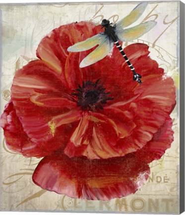 Framed Le Pavot Dragonfly Print