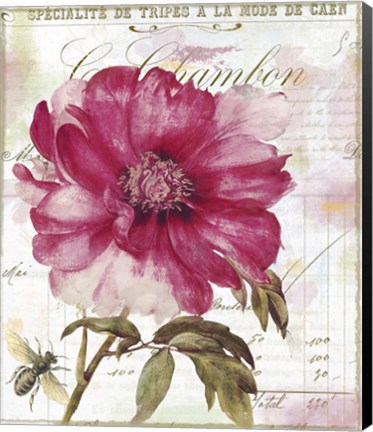 Framed Lepink With  Bee Print