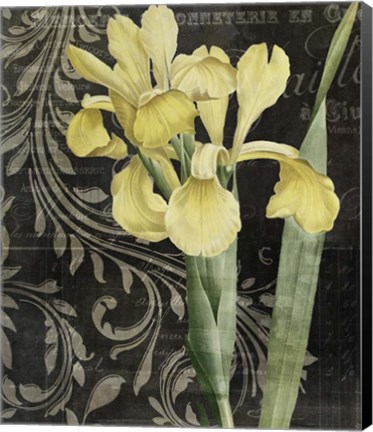 Framed Ode To Yellow Print