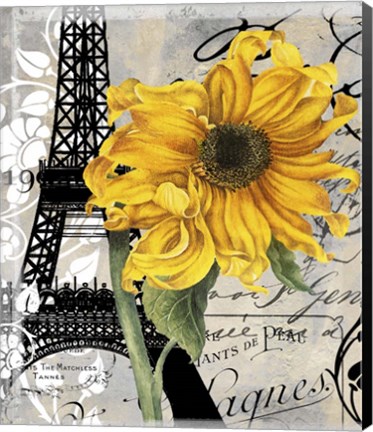 Framed Paris Blanc Print