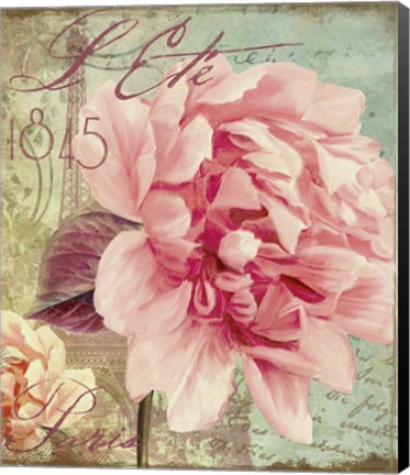 Framed Saisons III Print