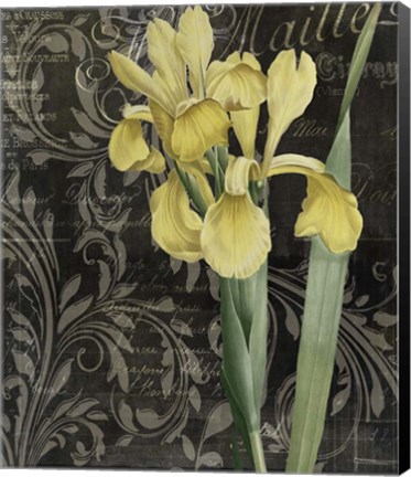 Framed Ode to Yellow Flowers Print