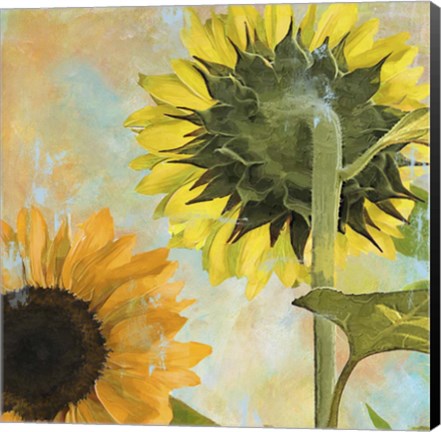 Framed Soleil II Print