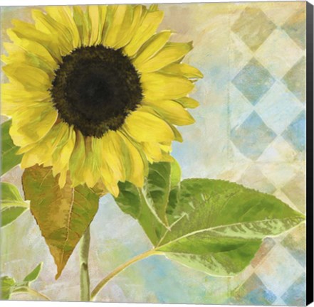 Framed Soleil III Print