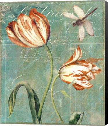 Framed Tulips Ablaze I Print