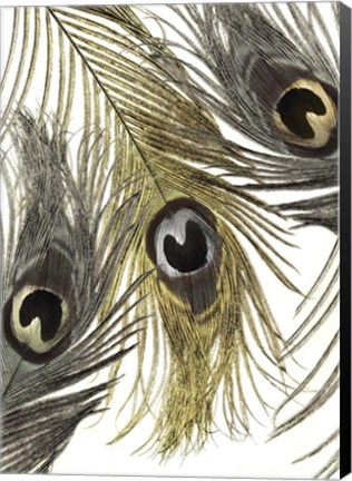 Framed Feather Fashion I Print