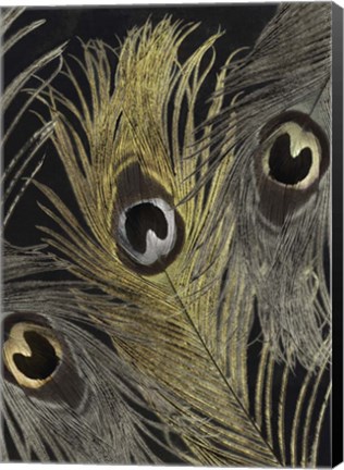 Framed Feather Fashion II Print